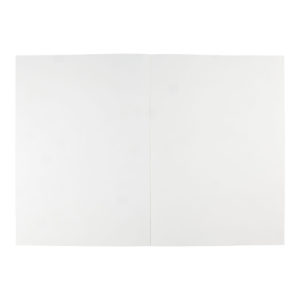 10 Sheets 42 x 56 cm 345 g Clairefontaine Ready to Paint Canvas Pad White 
